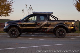 Ford Ostatní modely F-150  FX COYOTE V8 2013 2013