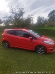 Ford Fiesta ST 2013