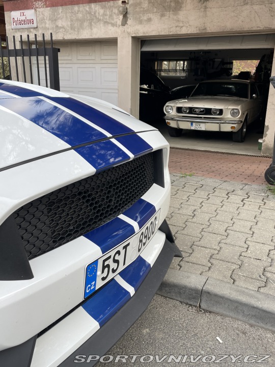 Ford Mustang Shelby GT350 2019