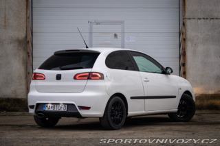 Seat Ibiza 1.8 20V Cupra 2008
