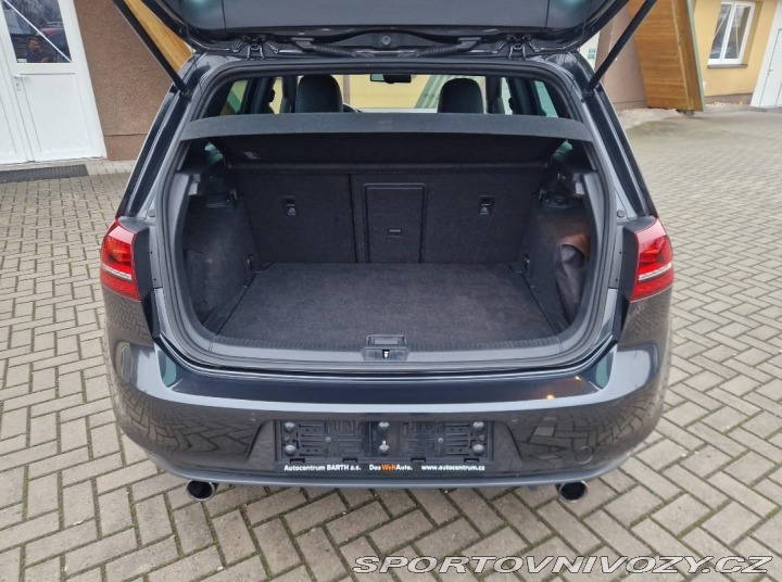 Volkswagen Golf GTI PERFORMANCE 2013