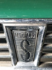 Jaguar XJS  1981