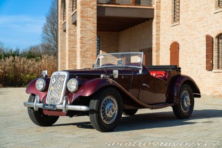 Fiat  1100103 SPIDER MANTELLI