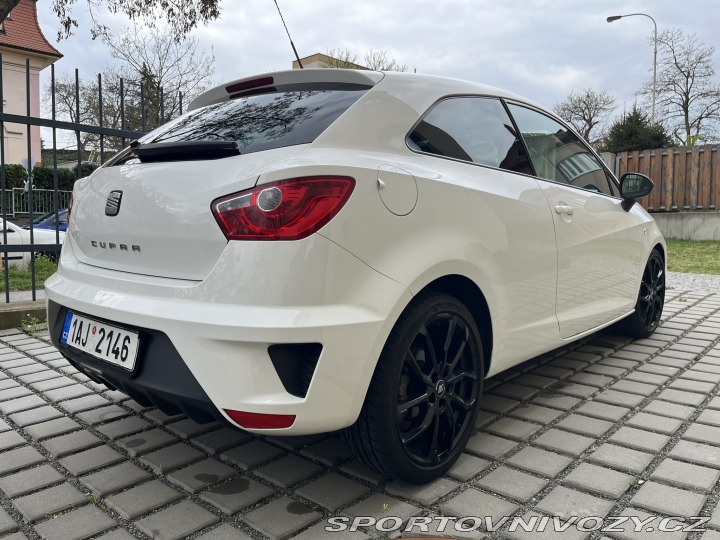 Seat Ibiza Cupra 2009