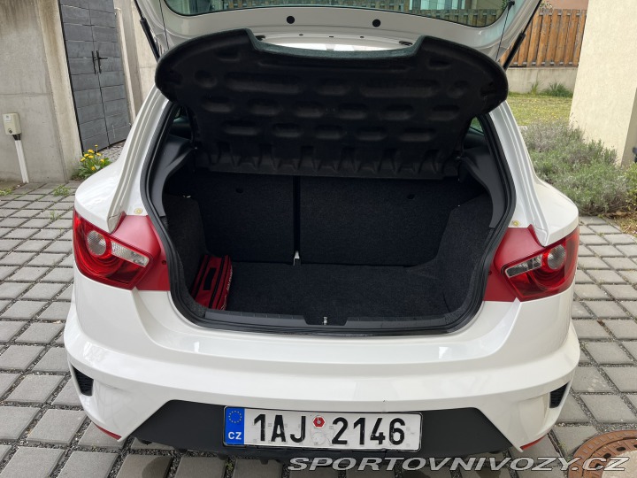 Seat Ibiza Cupra 2009