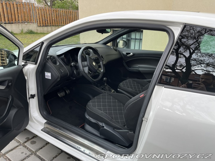 Seat Ibiza Cupra 2009