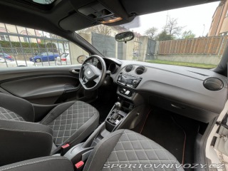 Seat Ibiza Cupra 2009