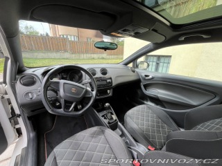 Seat Ibiza Cupra 2009