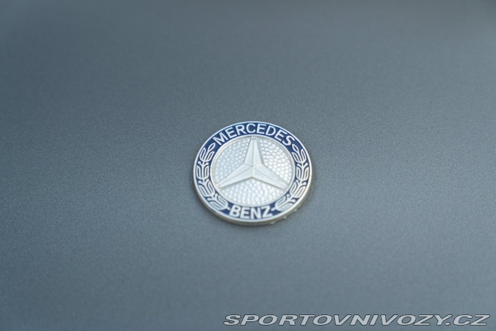 Mercedes-Benz E 280 GE 1981
