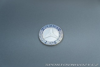 Mercedes-Benz E 280 GE 1981