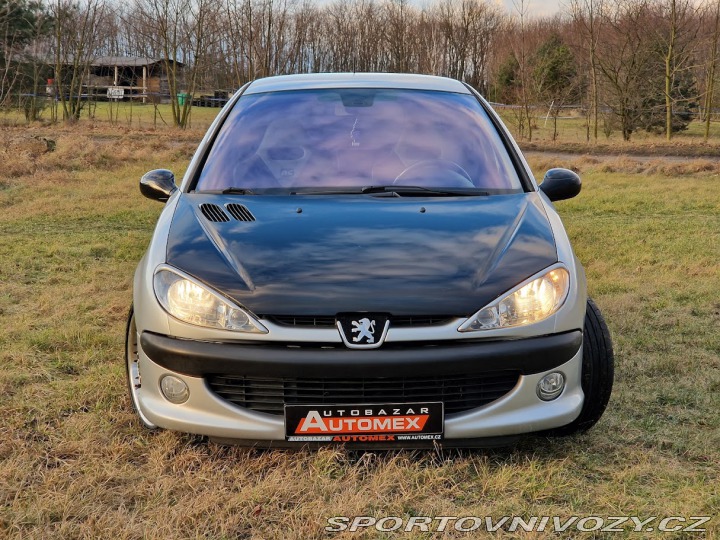 Peugeot 206 206 RC-2.0 16V-130 KW 2004
