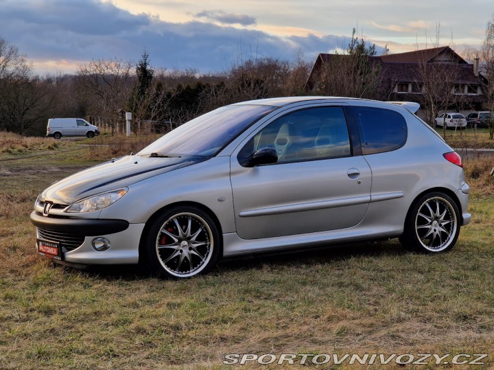 Peugeot 206 206 RC-2.0 16V-130 KW 2004