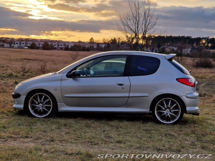 Peugeot 206 206 RC-2.0 16V-130 KW 2004