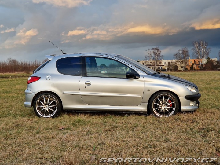 Peugeot 206 206 RC-2.0 16V-130 KW 2004