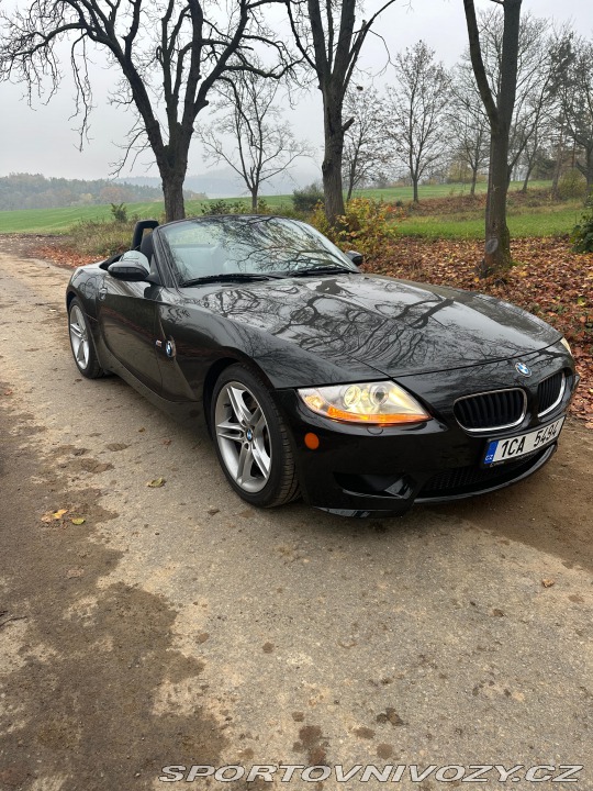BMW Z4 Z4M E85 2006