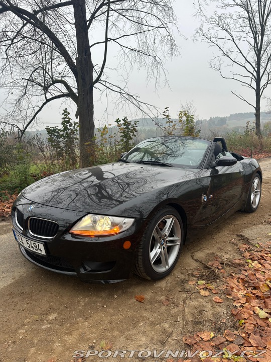 BMW Z4 Z4M E85 2006