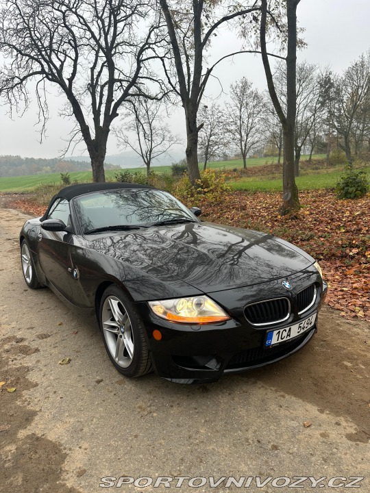 BMW Z4 Z4M E85 2006