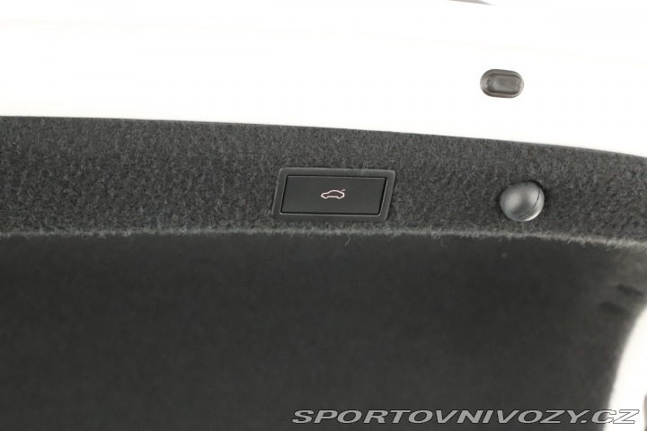 Škoda Octavia RS RS RS 2.0 TSI 2023