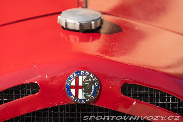 Alfa Romeo Ostatní modely 6C - TRIBUTO SPORT 1931