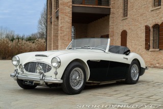   Austin-Healey BN4 100/6