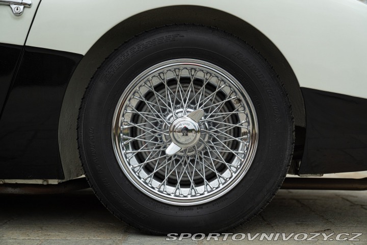 Ostatní značky Ostatní modely Austin-Healey BN4 100/6 1957