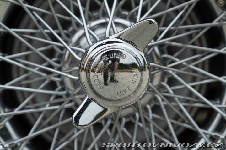 Ostatní značky Ostatní modely Austin-Healey BN4 100/6 1957