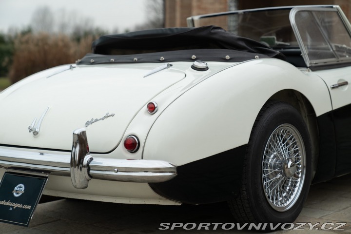 Ostatní značky Ostatní modely Austin-Healey BN4 100/6 1957