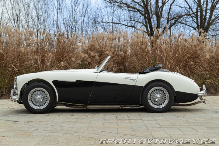 Ostatní značky Ostatní modely Austin-Healey BN4 100/6 1957