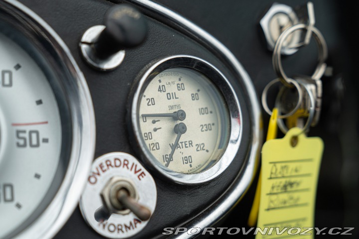 Ostatní značky Ostatní modely Austin-Healey BN4 100/6 1957