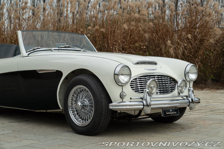 Ostatní značky Ostatní modely Austin-Healey BN4 100/6 1957