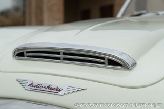 Ostatní značky Ostatní modely Austin-Healey BN4 100/6 1957