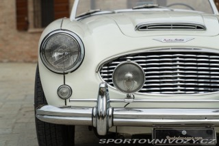 Ostatní značky Ostatní modely Austin-Healey BN4 100/6 1957