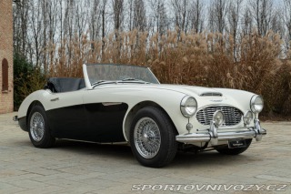 Ostatní značky Ostatní modely Austin-Healey BN4 100/6 1957