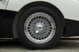 Ostatní značky Ostatní modely Austin-Healey BN4 100/6 1957