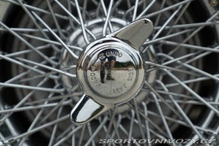 Ostatní značky Ostatní modely Austin-Healey BN4 100/6 1957