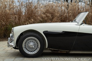 Ostatní značky Ostatní modely Austin-Healey BN4 100/6 1957