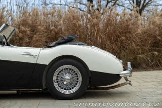 Ostatní značky Ostatní modely Austin-Healey BN4 100/6 1957