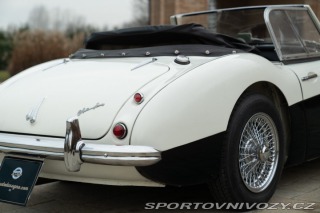 Ostatní značky Ostatní modely Austin-Healey BN4 100/6 1957