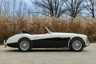 Ostatní značky Ostatní modely Austin-Healey BN4 100/6 1957