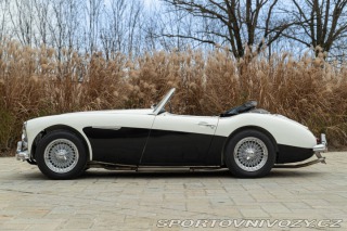 Ostatní značky Ostatní modely Austin-Healey BN4 100/6 1957