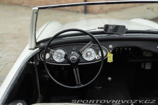Ostatní značky Ostatní modely Austin-Healey BN4 100/6 1957
