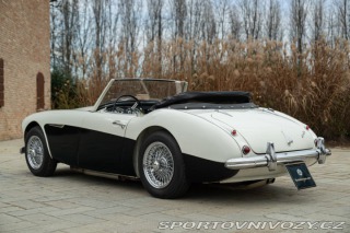 Ostatní značky Ostatní modely Austin-Healey BN4 100/6 1957