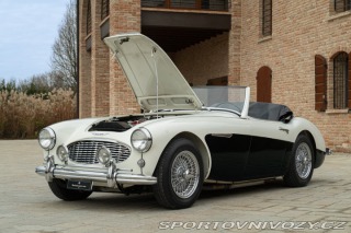 Ostatní značky Ostatní modely Austin-Healey BN4 100/6 1957