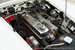 Ostatní značky Ostatní modely Austin-Healey BN4 100/6 1957