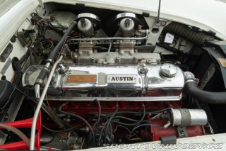 Ostatní značky Ostatní modely Austin-Healey BN4 100/6 1957