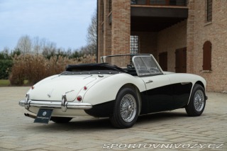 Ostatní značky Ostatní modely Austin-Healey BN4 100/6 1957