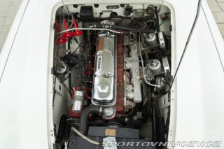 Ostatní značky Ostatní modely Austin-Healey BN4 100/6 1957
