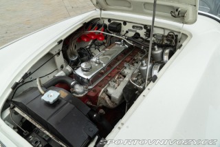 Ostatní značky Ostatní modely Austin-Healey BN4 100/6 1957