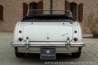 Ostatní značky Ostatní modely Austin-Healey BN4 100/6 1957
