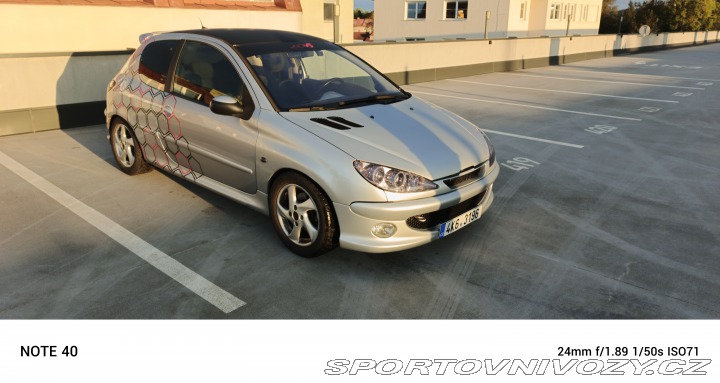 Peugeot 206 Quicksilver 2005